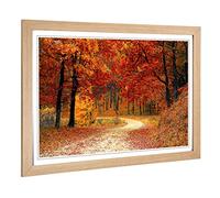 Big Box Art Framed Print of Landscape Autumn Fall Woofland Forest Design | Wall Art Picture | Home Decor for Kitchen, Living Room, Bedroom, Hallway, Oak, A2 / 24.5x18 Inch / 62x45cm