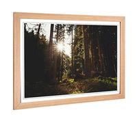 Big Box Art Framed Print of Landscape Conifer Tree Forest 2 Design | Wall Art Picture | Home Decor for Kitchen, Living Room, Bedroom, Hallway, Oak, A2 / 24.5x18 Inch / 62x45cm