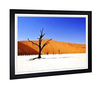 Big Box Art Framed Print of Landscape Desert Namibia with Trees Design | Wall Art Picture | Home Decor for Kitchen, Living Room, Bedroom, Hallway, Black, A2 / 24.5x18 Inch / 62x45cm