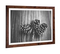 Big Box Art Framed Print of Landscape Forest Acorns Design | Wall Art Picture | Home Decor for Kitchen, Living, Dining Room, Bedroom, Hallway, Office, Walnut, A2 / 24.5x18 Inch / 62x45cm