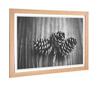Big Box Art Framed Print of Landscape Forest Acorns Design | Wall Art Picture | Home Decor for Kitchen, Living, Dining Room, Bedroom, Hallway, Office, Oak, A2 / 24.5x18 Inch / 62x45cm