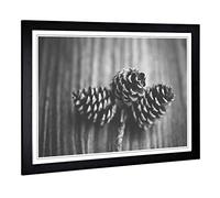 Big Box Art Framed Print of Landscape Forest Acorns Design | Wall Art Picture | Home Decor for Kitchen, Living, Dining Room, Bedroom, Hallway, Office, Black, A2 / 24.5x18 Inch / 62x45cm