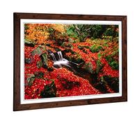 Big Box Art Framed Print of Landscape Forest Floor Stream Design | Wall Art Picture | Home Decor for Kitchen, Living, Dining Room, Bedroom, Hallway, Office, Walnut, A2 / 24.5x18 Inch / 62x45cm