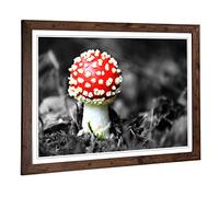 Big Box Art Framed Print of Landscape Forest Mushroom Design | Wall Art Picture | Home Decor for Kitchen, Living, Dining Room, Bedroom, Hallway, Office, Walnut, A2 / 24.5x18 Inch / 62x45cm