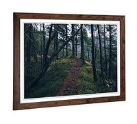 Big Box Art Framed Print of Landscape Forest Nature Design | Wall Art Picture | Home Decor for Kitchen, Living, Dining Room, Bedroom, Hallway, Office, Walnut, A2 / 24.5x18 Inch / 62x45cm