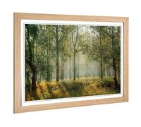 Big Box Art Framed Print of Landscape Forest Woodland View in The Spring Design | Wall Art Picture | Home Decor for Kitchen, Living Room, Bedroom, Hallway, Oak, A2 / 24.5x18 Inch / 62x45cm