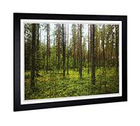 Big Box Art Framed Print of Landscape Green Forest Design | Wall Art Picture | Home Decor for Kitchen, Living, Dining Room, Lounge, Bedroom, Hallway, Office, Black, A2 / 24.5x18 Inch / 62x45cm