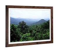Big Box Art Framed Print of Landscape Jungle Rainforest (1) Design | Wall Art Picture | Home Decor for Kitchen, Living Room, Bedroom, Hallway, Walnut, A2 / 24.5x18 Inch / 62x45cm
