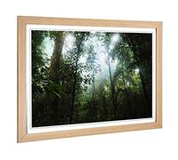 Big Box Art Framed Print of Landscape Jungle Rainforest (2) Design | Wall Art Picture | Home Decor for Kitchen, Living Room, Bedroom, Hallway, Oak, A2 / 24.5x18 Inch / 62x45cm