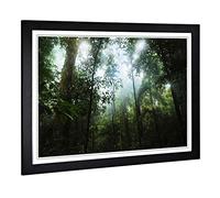 Big Box Art Framed Print of Landscape Jungle Rainforest (2) Design | Wall Art Picture | Home Decor for Kitchen, Living Room, Bedroom, Hallway, Black, A2 / 24.5x18 Inch / 62x45cm
