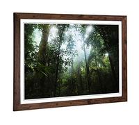 Big Box Art Framed Print of Landscape Jungle Rainforest (2) Design | Wall Art Picture | Home Decor for Kitchen, Living Room, Bedroom, Hallway, Walnut, A2 / 24.5x18 Inch / 62x45cm