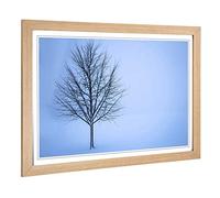 Big Box Art Framed Print of Landscape Lone Tree in The Winter Design | Wall Art Picture | Home Decor for Kitchen, Living Room, Bedroom, Hallway, Oak, A2 / 24.5x18 Inch / 62x45cm