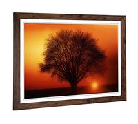 Big Box Art Framed Print of Landscape Lone Tree Sunset (2) Design | Wall Art Picture | Home Decor for Kitchen, Living, Dining Room, Bedroom, Hallway, Office, Walnut, A2 / 24.5x18 Inch / 62x45cm