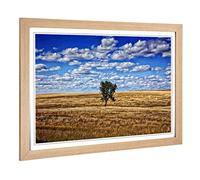 Big Box Art Framed Print of Landscape South Dakota Lone Tree USA Design | Wall Art Picture | Home Decor for Kitchen, Living Room, Bedroom, Hallway, Oak, A2 / 24.5x18 Inch / 62x45cm