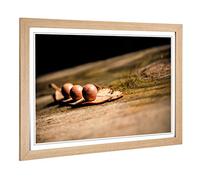 Big Box Art Framed Print of Landscape Tree Stump Design | Wall Art Picture | Home Decor for Kitchen, Living, Dining Room, Lounge, Bedroom, Hallway, Office, Oak, A2 / 24.5x18 Inch / 62x45cm