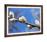 Big Box Art Framed Print of Landscape Willow Tree Design | Wall Art Picture | Home Decor for Kitchen, Living, Dining Room, Lounge, Bedroom, Hallway, Office, Walnut, A2 / 24.5x18 Inch / 62x45cm
