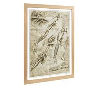 Big Box Art Framed Print of Leonardo Da Vinci Anatomy 2 Design | Wall Art Picture | Home Decor for Kitchen, Living, Dining Room, Bedroom, Hallway, Office, Oak, A2 / 24.5x18 Inch / 62x45cm