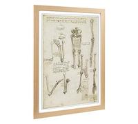 Big Box Art Framed Print of Leonardo Da Vinci Anatomy 7 Design | Wall Art Picture | Home Decor for Kitchen, Living, Dining Room, Bedroom, Hallway, Office, Oak, A2 / 24.5x18 Inch / 62x45cm