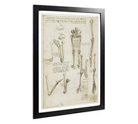 Big Box Art Framed Print of Leonardo Da Vinci Anatomy 7 Design | Wall Art Picture | Home Decor for Kitchen, Living, Dining Room, Bedroom, Hallway, Office, Black, A2 / 24.5x18 Inch / 62x45cm