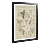 Big Box Art Framed Print of Leonardo Da Vinci Anatomy 8 Design | Wall Art Picture | Home Decor for Kitchen, Living, Dining Room, Bedroom, Hallway, Office, Black, A2 / 24.5x18 Inch / 62x45cm