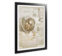 Big Box Art Framed Print of Leonardo Da Vinci Anatomy Design | Wall Art Picture | Home Decor for Kitchen, Living, Dining Room, Bedroom, Hallway, Office, Black, A2 / 24.5x18 Inch / 62x45cm