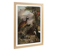 Big Box Art Framed Print of Melchior d'Hondecoeter Birds 2 Design | Wall Art Picture | Home Decor for Kitchen, Living, Dining Room, Bedroom, Hallway, Office, Oak, A2 / 24.5x18 Inch / 62x45cm