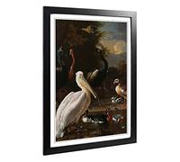 Big Box Art Framed Print of Melchior d'Hondecoeter Birds Design | Wall Art Picture | Home Decor for Kitchen, Living, Dining Room, Bedroom, Hallway, Office, Black, A2 / 24.5x18 Inch / 62x45cm