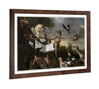 Big Box Art Framed Print of Melchior d'Hondecoeter Owl and Other Birds Design | Wall Art Picture | Home Decor for Kitchen, Living Room, Bedroom, Hallway, Walnut, A2 / 24.5x18 Inch / 62x45cm