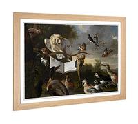 Big Box Art Framed Print of Melchior d'Hondecoeter Owl and Other Birds Design | Wall Art Picture | Home Decor for Kitchen, Living Room, Bedroom, Hallway, Oak, A2 / 24.5x18 Inch / 62x45cm