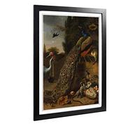Big Box Art Framed Print of Melchior d'Hondecoeter Peacock Design | Wall Art Picture | Home Decor for Kitchen, Living, Dining Room, Bedroom, Hallway, Office, Black, A2 / 24.5x18 Inch / 62x45cm