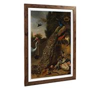 Big Box Art Framed Print of Melchior d'Hondecoeter Peacock Design | Wall Art Picture | Home Decor for Kitchen, Living, Dining Room, Bedroom, Hallway, Office, Walnut, A2 / 24.5x18 Inch / 62x45cm
