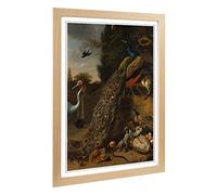 Big Box Art Framed Print of Melchior d'Hondecoeter Peacock Design | Wall Art Picture | Home Decor for Kitchen, Living, Dining Room, Bedroom, Hallway, Office, Oak, A2 / 24.5x18 Inch / 62x45cm