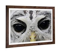 Big Box Art Framed Print of Owl Eyes Design | Wall Art Picture | Home Decor for Kitchen, Living, Dining Room, Lounge, Bedroom, Hallway, Office, Walnut, A2 / 24.5x18 Inch / 62x45cm