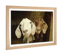 Big Box Art Framed Print of Pair of Goats Design | Wall Art Picture | Home Decor for Kitchen, Living, Dining Room, Lounge, Bedroom, Hallway, Office, Oak, A2 / 24.5x18 Inch / 62x45cm