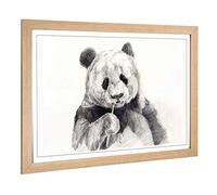 Big Box Art Framed Print of Panda Illustration (1) Design | Wall Art Picture | Home Decor for Kitchen, Living, Dining Room, Lounge, Bedroom, Hallway, Office, Oak, A2 / 24.5x18 Inch / 62x45cm