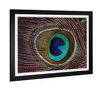 Big Box Art Framed Print of Peacock Feather Design | Wall Art Picture | Home Decor for Kitchen, Living, Dining Room, Lounge, Bedroom, Hallway, Office, Black, A2 / 24.5x18 Inch / 62x45cm
