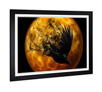 Big Box Art Framed Print of Raven Bird (2) Design | Wall Art Picture | Home Decor for Kitchen, Living, Dining Room, Lounge, Bedroom, Hallway, Office, Black, A2 / 24.5x18 Inch / 62x45cm