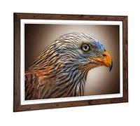 Big Box Art Framed Print of Red Kite Bird Design | Wall Art Picture | Home Decor for Kitchen, Living, Dining Room, Lounge, Bedroom, Hallway, Office, Walnut, A2 / 24.5x18 Inch / 62x45cm