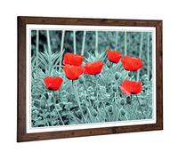 Big Box Art Framed Print of Red Poppy Field Flowers (6) Design | Wall Art Picture | Home Decor for Kitchen, Living, Dining Room, Bedroom, Hallway, Office, Walnut, A2 / 24.5x18 Inch / 62x45cm