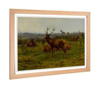 Big Box Art Framed Print of Rosa Bonheur The Stag and Deer Design | Wall Art Picture | Home Decor for Kitchen, Living, Dining Room, Bedroom, Hallway, Office, Oak, A2 / 24.5x18 Inch / 62x45cm