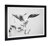 Big Box Art Framed Print of Seagulls Birds Design | Wall Art Picture | Home Decor for Kitchen, Living, Dining Room, Lounge, Bedroom, Hallway, Office, Black, A2 / 24.5x18 Inch / 62x45cm