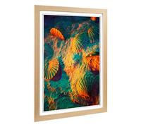 Big Box Art Framed Print of Seashell Shell Ocean 3 Design | Wall Art Picture | Home Decor for Kitchen, Living, Dining Room, Bedroom, Hallway, Office, Oak, A2 / 24.5x18 Inch / 62x45cm