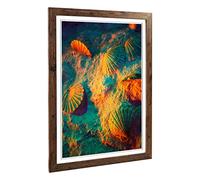 Big Box Art Framed Print of Seashell Shell Ocean 3 Design | Wall Art Picture | Home Decor for Kitchen, Living, Dining Room, Bedroom, Hallway, Office, Walnut, A2 / 24.5x18 Inch / 62x45cm
