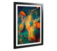 Big Box Art Framed Print of Seashell Shell Ocean 3 Design | Wall Art Picture | Home Decor for Kitchen, Living, Dining Room, Bedroom, Hallway, Office, Black, A2 / 24.5x18 Inch / 62x45cm