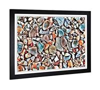 Big Box Art Framed Print of Shells on The Beach Design | Wall Art Picture | Home Decor for Kitchen, Living, Dining Room, Lounge, Bedroom, Hallway, Office, Black, A2 / 24.5x18 Inch / 62x45cm