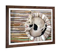Big Box Art Framed Print of Siamese Cat Design | Wall Art Picture | Home Decor for Kitchen, Living, Dining Room, Lounge, Bedroom, Hallway, Office, Walnut, A2 / 24.5x18 Inch / 62x45cm