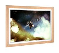 Big Box Art Framed Print of Spider Cobweb (1) Design | Wall Art Picture | Home Decor for Kitchen, Living, Dining Room, Lounge, Bedroom, Hallway, Office, Oak, A2 / 24.5x18 Inch / 62x45cm