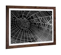 Big Box Art Framed Print of Spider Cobweb (3) Design | Wall Art Picture | Home Decor for Kitchen, Living, Dining Room, Lounge, Bedroom, Hallway, Office, Walnut, A2 / 24.5x18 Inch / 62x45cm