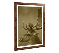 Big Box Art Framed Print of Stag and Bird Design | Wall Art Picture | Home Decor for Kitchen, Living, Dining Room, Lounge, Bedroom, Hallway, Office, Walnut, A2 / 24.5x18 Inch / 62x45cm