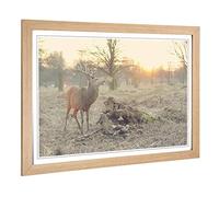 Big Box Art Framed Print of Stag Forest Landscape Design | Wall Art Picture | Home Decor for Kitchen, Living, Dining Room, Lounge, Bedroom, Hallway, Office, Oak, A2 / 24.5x18 Inch / 62x45cm